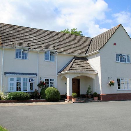 Hazel Court Guest House Newport  Kültér fotó